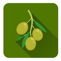 definizione olio oliva