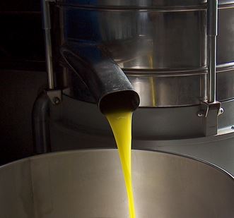 Estrazione olio d'oliva