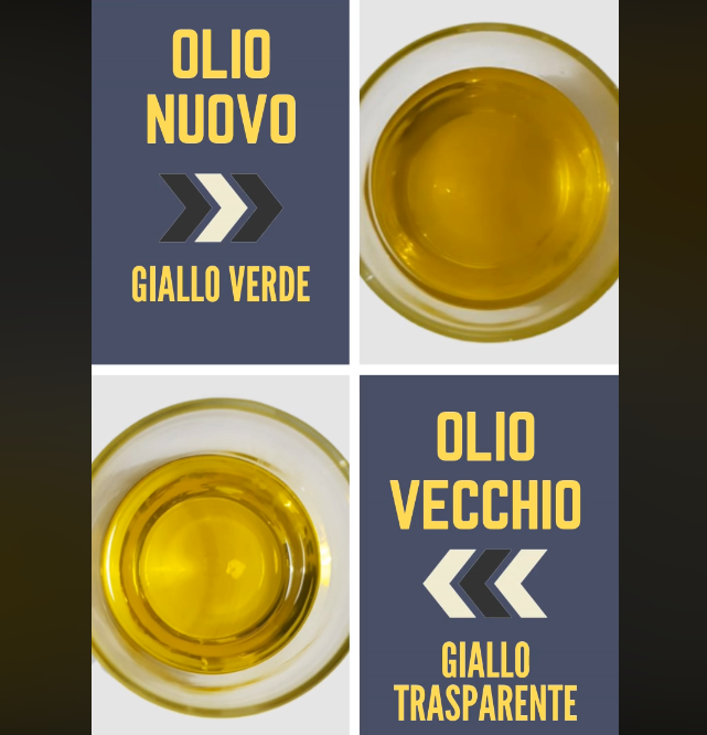 olio extravergine nuovo e olio extravergine di oliva vecchio trucco visivo